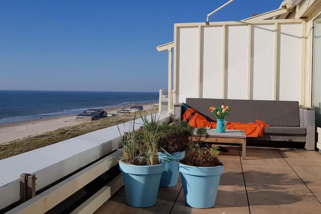 Kraaiennest Apartment Egmond aan Zee Exterior photo