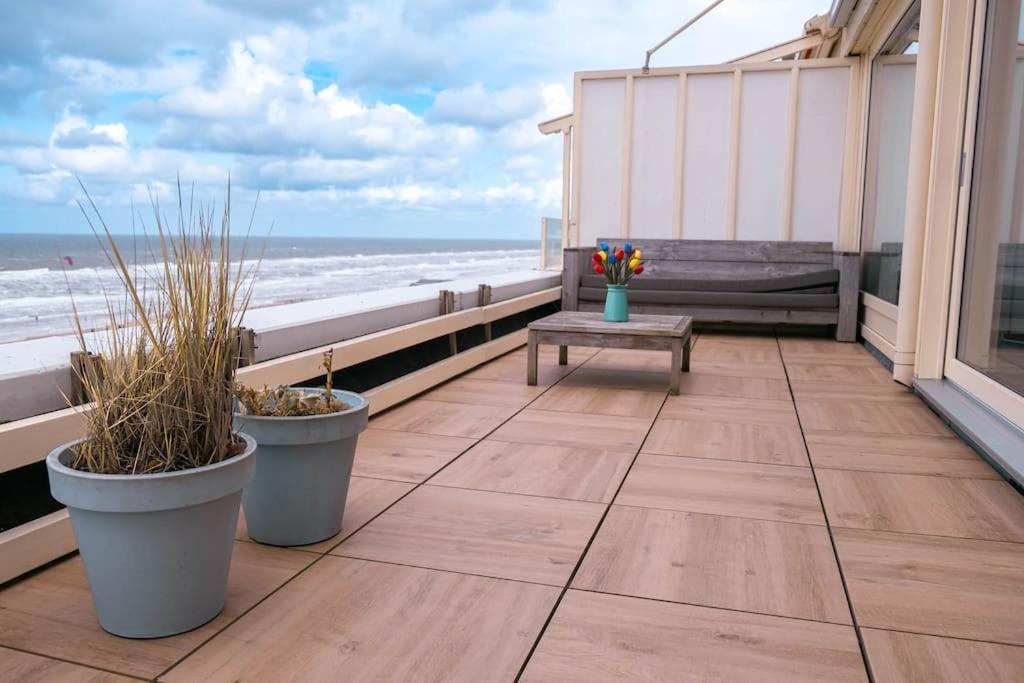 Kraaiennest Apartment Egmond aan Zee Exterior photo